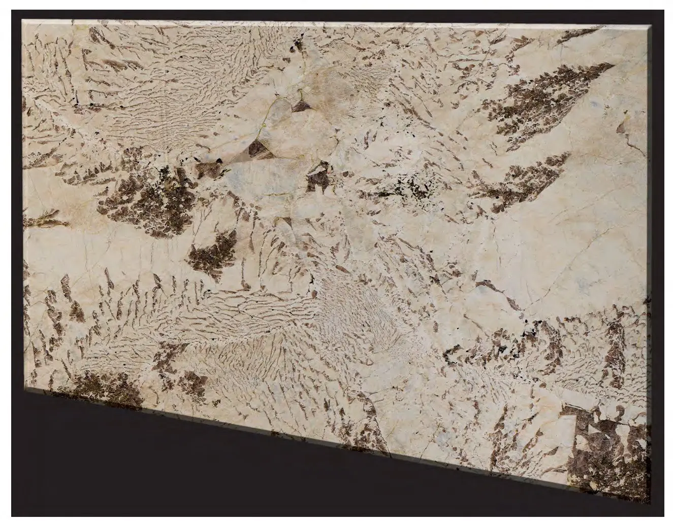 Rudi’s Choice Antionette surface sample